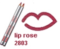 Immagine di lip rose